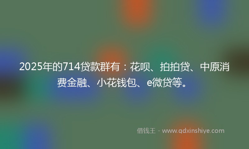 2025年的714贷款群有：花呗、拍拍贷、中原消费金融、小花钱包、e微贷等。