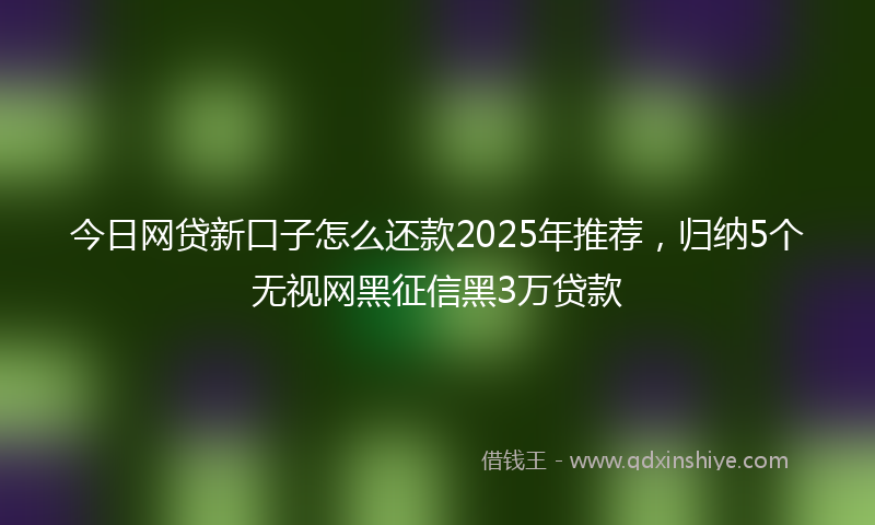 今日网贷新口子怎么还款2025年推荐，归纳5个无视网黑征信黑3万贷款