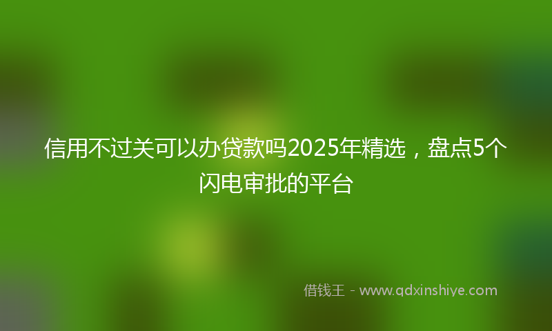 信用不过关可以办贷款吗2025年精选，盘点5个闪电审批的平台