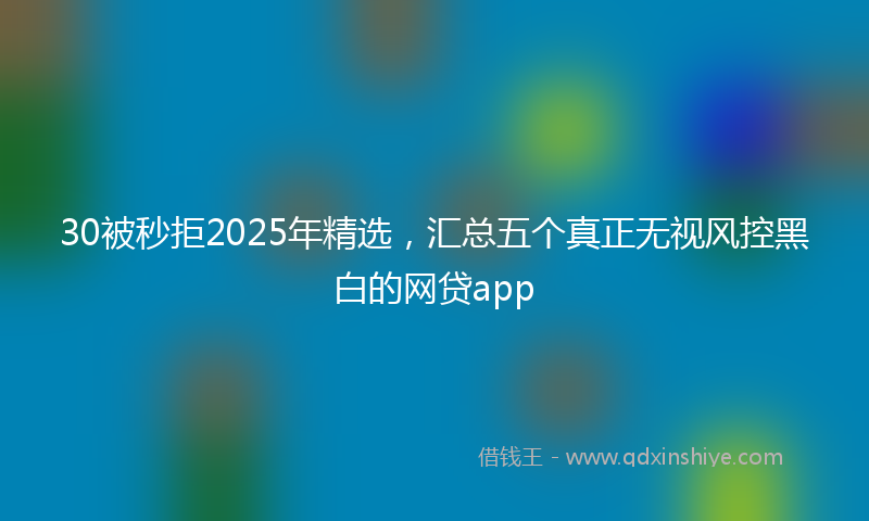 30被秒拒2025年精选，汇总五个真正无视风控黑白的网贷app