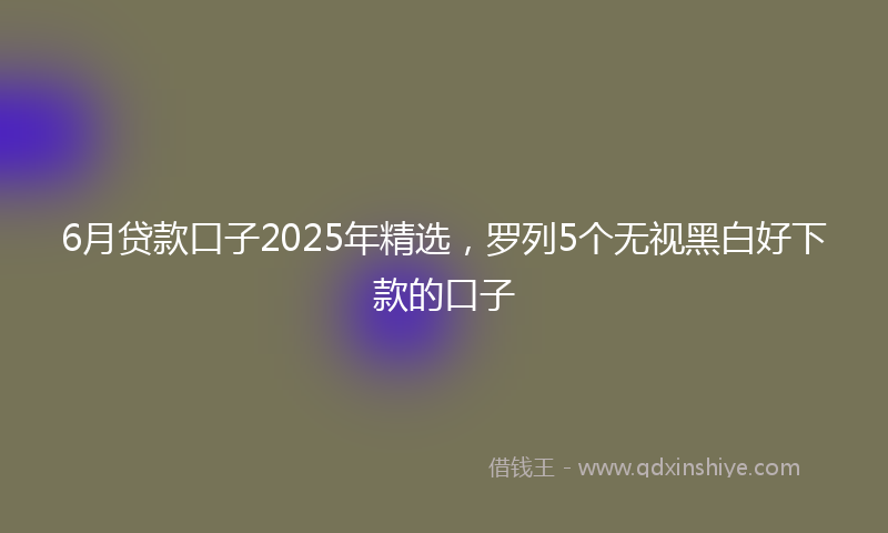 6月贷款口子2025年精选，罗列5个无视黑白好下款的口子
