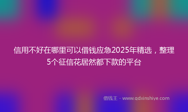 信用不好在哪里可以借钱应急2025年精选，整理5个征信花居然都下款的平台