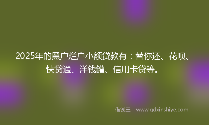 2025年的黑户烂户小额贷款有：替你还、花呗、快贷通、洋钱罐、信用卡贷等。