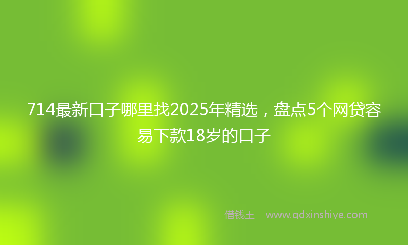 714最新口子哪里找2025年精选，盘点5个网贷容易下款18岁的口子