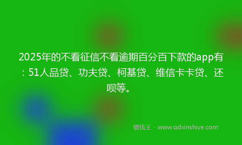 2025年的不看征信不看逾期百分百下款的app有：51人品贷、功夫贷、柯基贷、维信卡卡贷、还呗等。