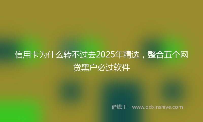 信用卡为什么转不过去2025年精选，整合五个网贷黑户必过软件