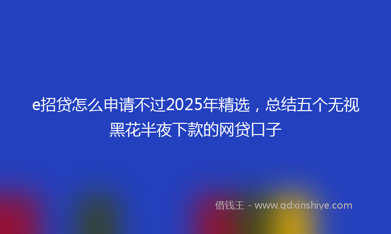 e招贷怎么申请不过2025年精选，总结五个无视黑花半夜下款的网贷口子