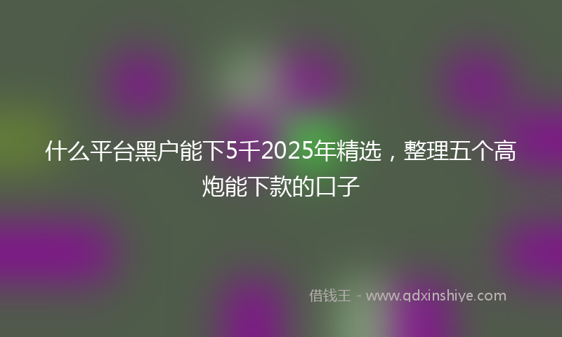 什么平台黑户能下5千2025年精选，整理五个高炮能下款的口子