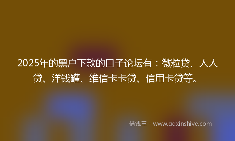 2025年的黑户下款的口子论坛有：微粒贷、人人贷、洋钱罐、维信卡卡贷、信用卡贷等。