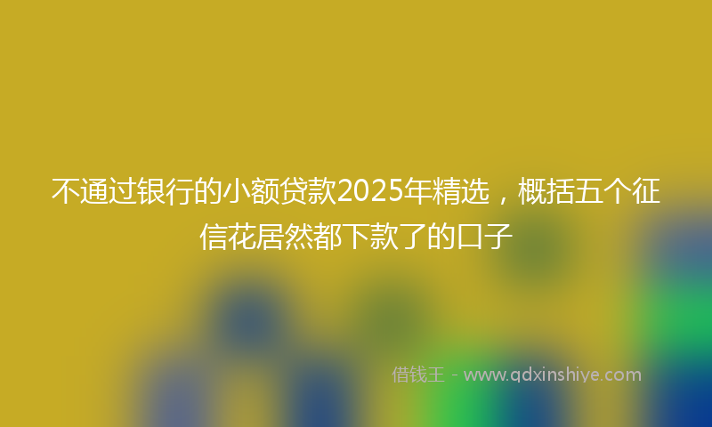 不通过银行的小额贷款2025年精选，概括五个征信花居然都下款了的口子