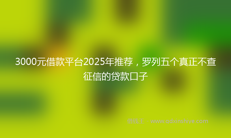 3000元借款平台2025年推荐，罗列五个真正不查征信的贷款口子
