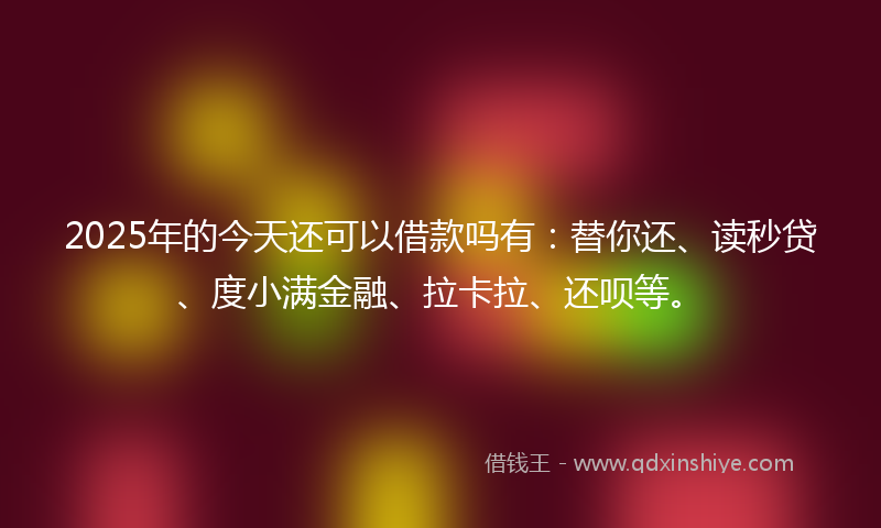 2025年的今天还可以借款吗有：替你还、读秒贷、度小满金融、拉卡拉、还呗等。