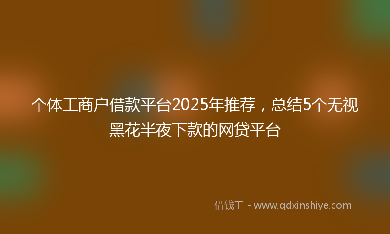 个体工商户借款平台2025年推荐，总结5个无视黑花半夜下款的网贷平台