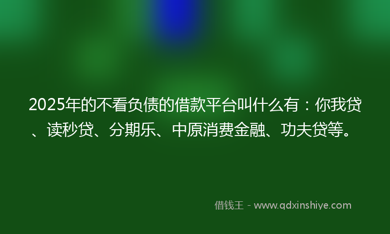 2025年的不看负债的借款平台叫什么有：你我贷、读秒贷、分期乐、中原消费金融、功夫贷等。