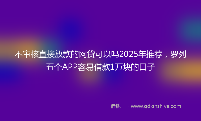 不审核直接放款的网贷可以吗2025年推荐，罗列五个APP容易借款1万块的口子