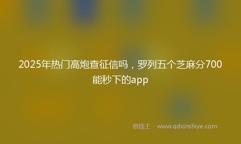 2025年热门高炮查征信吗，罗列五个芝麻分700能秒下的app