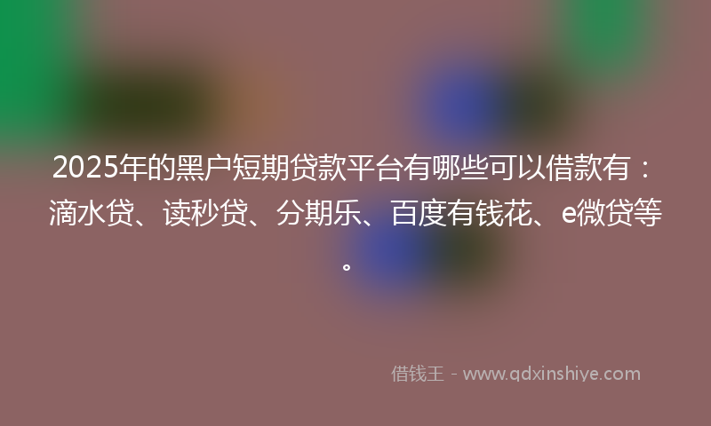 2025年的黑户短期贷款平台有哪些可以借款有：滴水贷、读秒贷、分期乐、百度有钱花、e微贷等。
