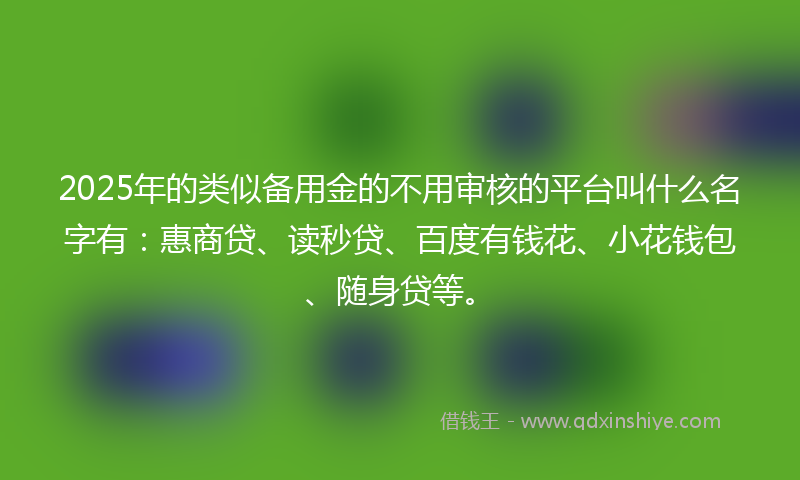 2025年的类似备用金的不用审核的平台叫什么名字有：惠商贷、读秒贷、百度有钱花、小花钱包、随身贷等。