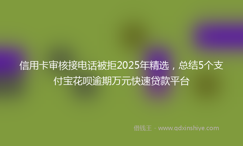 信用卡审核接电话被拒2025年精选，总结5个支付宝花呗逾期万元快速贷款平台