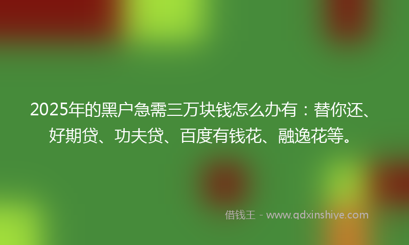 2025年的黑户急需三万块钱怎么办有：替你还、好期贷、功夫贷、百度有钱花、融逸花等。