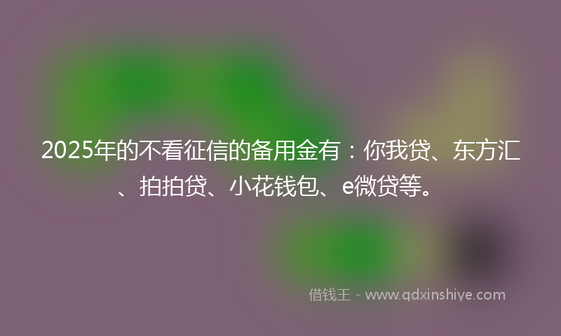2025年的不看征信的备用金有：你我贷、东方汇、拍拍贷、小花钱包、e微贷等。