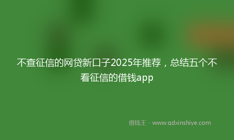 不查征信的网贷新口子2025年推荐，总结五个不看征信的借钱app