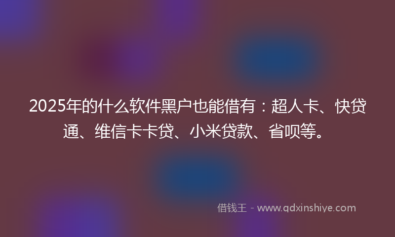 2025年的什么软件黑户也能借有：超人卡、快贷通、维信卡卡贷、小米贷款、省呗等。