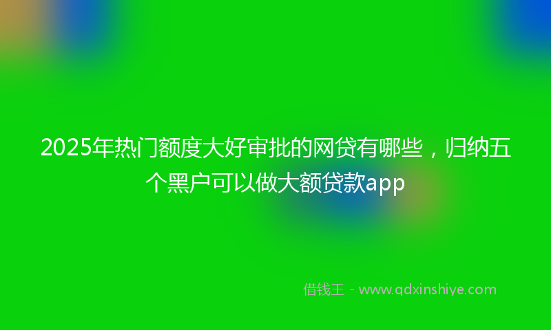 2025年热门额度大好审批的网贷有哪些，归纳五个黑户可以做大额贷款app