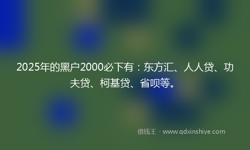 2025年的黑户2000必下有：东方汇、人人贷、功夫贷、柯基贷、省呗等。