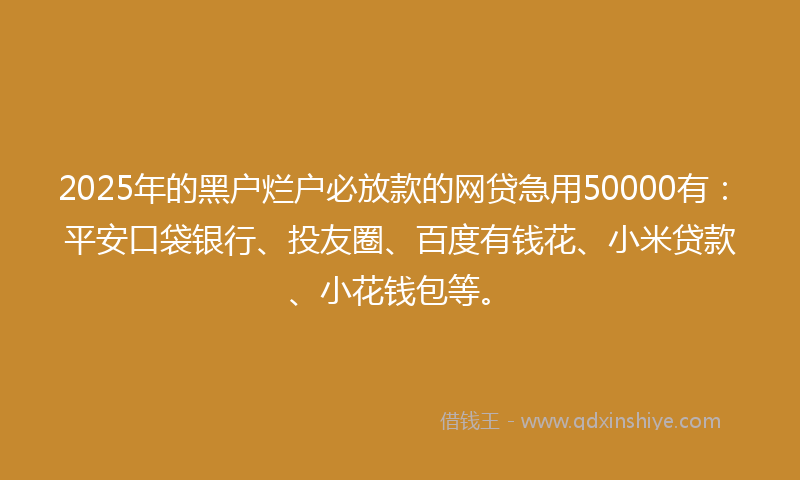 2025年的黑户烂户必放款的网贷急用50000有：平安口袋银行、投友圈、百度有钱花、小米贷款、小花钱包等。