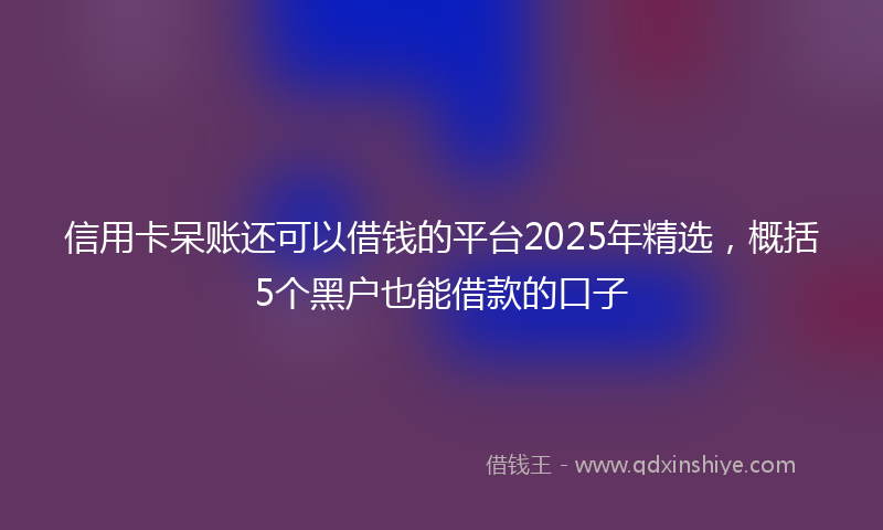 信用卡呆账还可以借钱的平台2025年精选，概括5个黑户也能借款的口子
