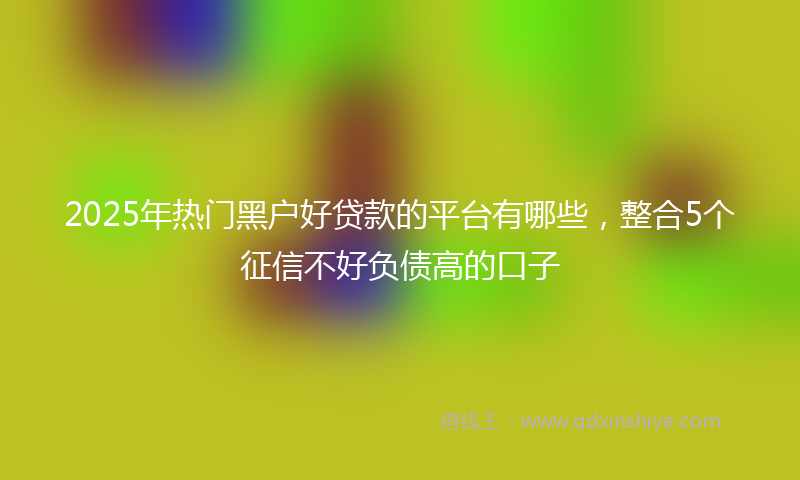 2025年热门黑户好贷款的平台有哪些，整合5个征信不好负债高的口子