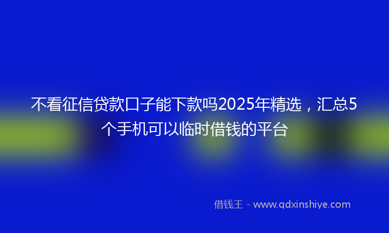 不看征信贷款口子能下款吗2025年精选，汇总5个手机可以临时借钱的平台