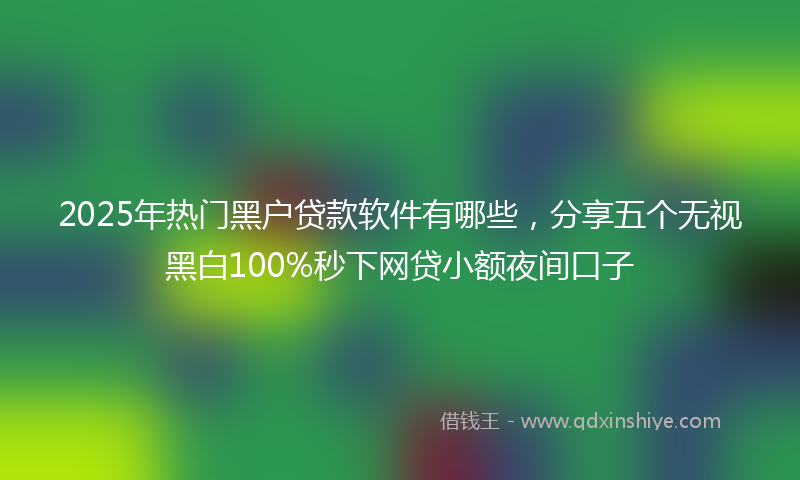 2025年热门黑户贷款软件有哪些，分享五个无视黑白100%秒下网贷小额夜间口子