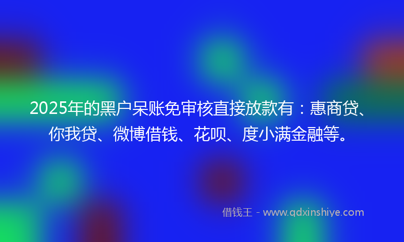 2025年的黑户呆账免审核直接放款有：惠商贷、你我贷、微博借钱、花呗、度小满金融等。