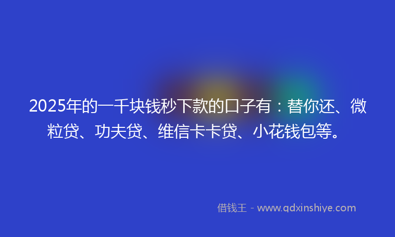 2025年的一千块钱秒下款的口子有：替你还、微粒贷、功夫贷、维信卡卡贷、小花钱包等。