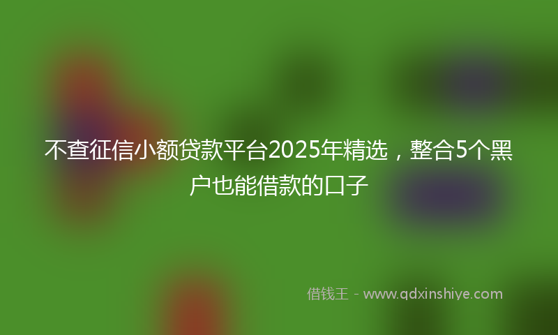 不查征信小额贷款平台2025年精选，整合5个黑户也能借款的口子