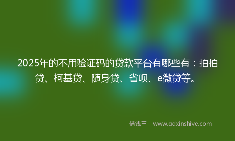 2025年的不用验证码的贷款平台有哪些有：拍拍贷、柯基贷、随身贷、省呗、e微贷等。