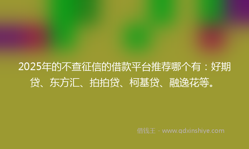 2025年的不查征信的借款平台推荐哪个有：好期贷、东方汇、拍拍贷、柯基贷、融逸花等。