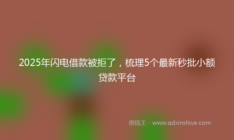 2025年闪电借款被拒了，梳理5个最新秒批小额贷款平台
