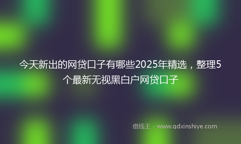 今天新出的网贷口子有哪些2025年精选，整理5个最新无视黑白户网贷口子