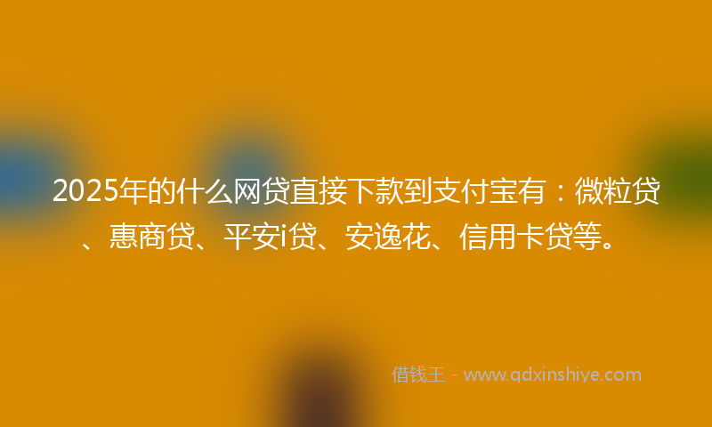 2025年的什么网贷直接下款到支付宝有：微粒贷、惠商贷、平安i贷、安逸花、信用卡贷等。