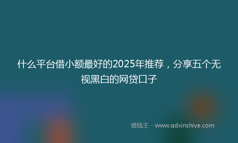 什么平台借小额最好的2025年推荐，分享五个无视黑白的网贷口子