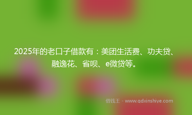 2025年的老口子借款有：美团生活费、功夫贷、融逸花、省呗、e微贷等。