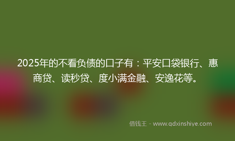 2025年的不看负债的口子有：平安口袋银行、惠商贷、读秒贷、度小满金融、安逸花等。