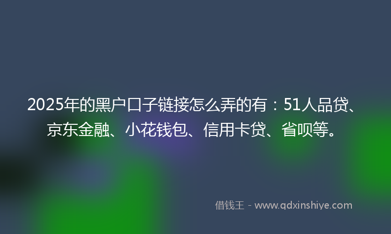 2025年的黑户口子链接怎么弄的有：51人品贷、京东金融、小花钱包、信用卡贷、省呗等。