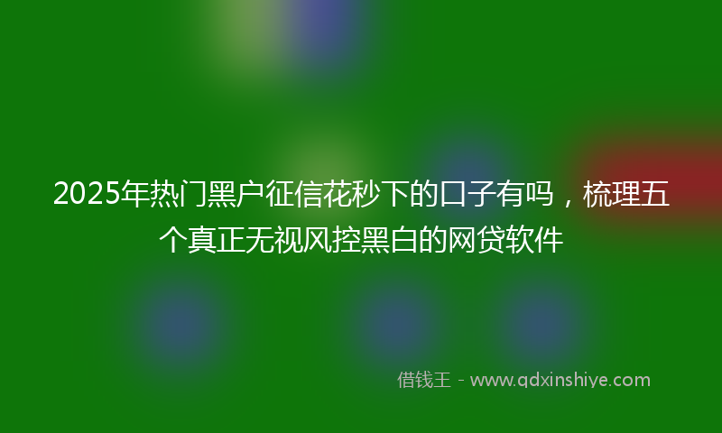 2025年热门黑户征信花秒下的口子有吗，梳理五个真正无视风控黑白的网贷软件