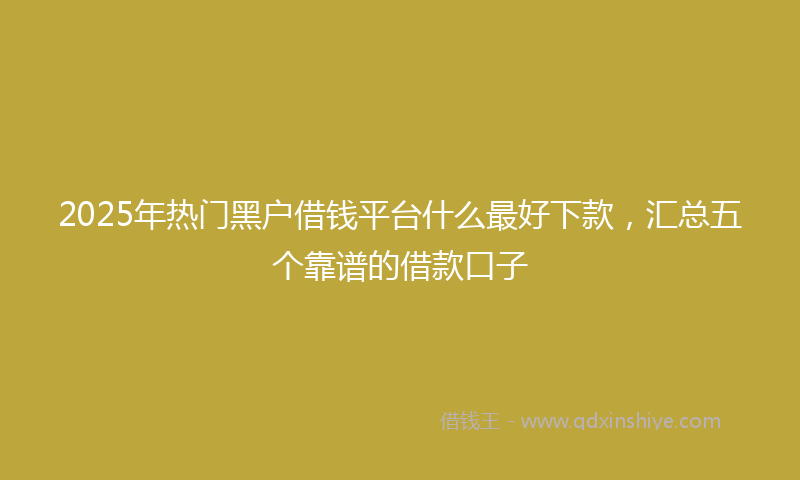 2025年热门黑户借钱平台什么最好下款，汇总五个靠谱的借款口子