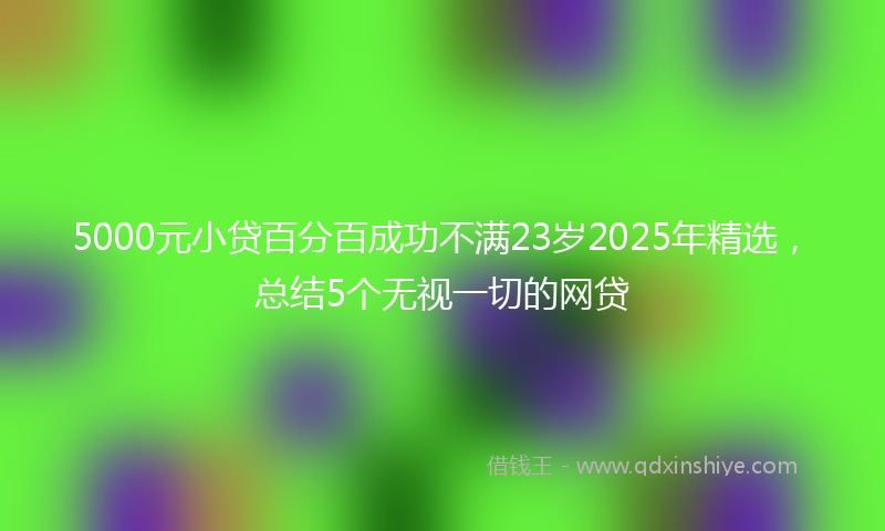 5000元小贷百分百成功不满23岁2025年精选，总结5个无视一切的网贷