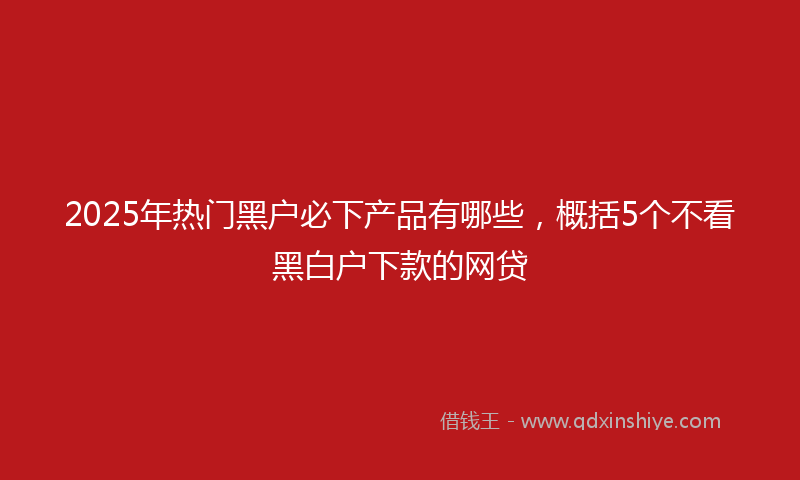 2025年热门黑户必下产品有哪些，概括5个不看黑白户下款的网贷